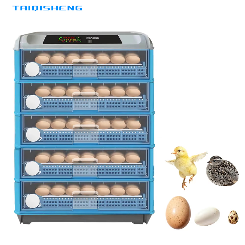 Automatic Intelligent 500 Egg  - Power Supply 12V ulasan dan harga